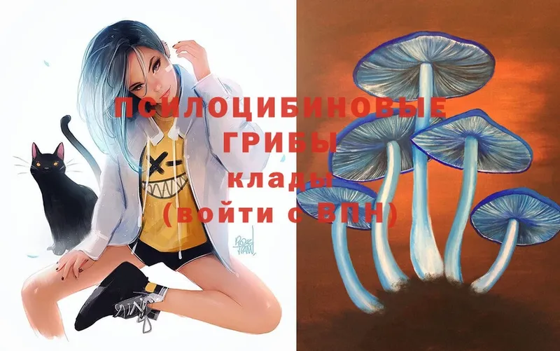 Псилоцибиновые грибы Magic Shrooms  наркота  hydra зеркало  Ленинск-Кузнецкий 